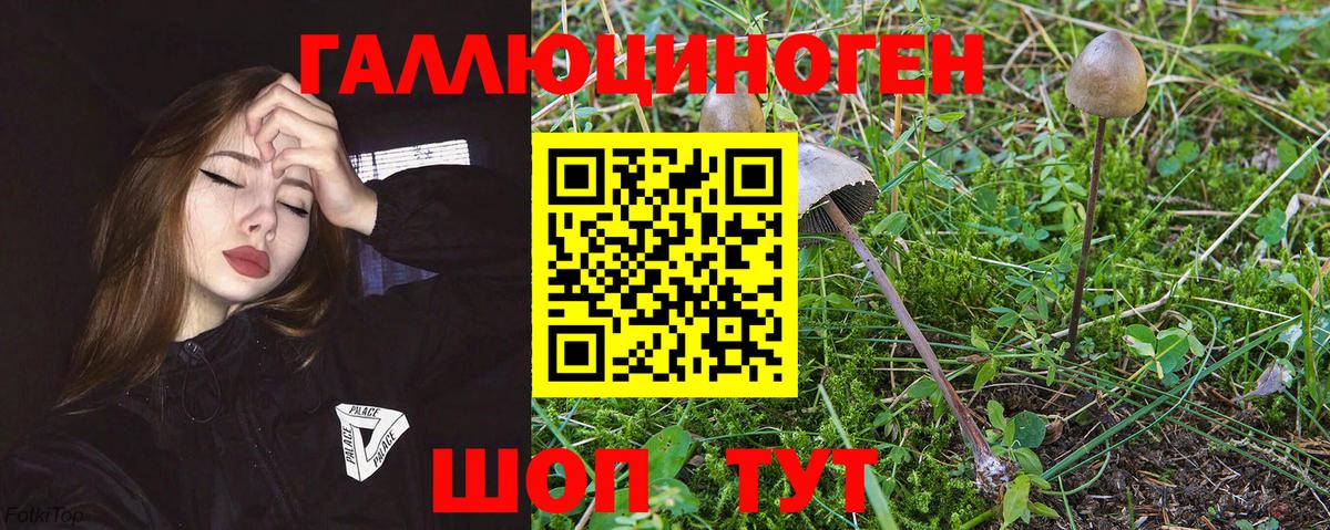 Псилоцибиновые грибы мухоморы Краснотурьинск