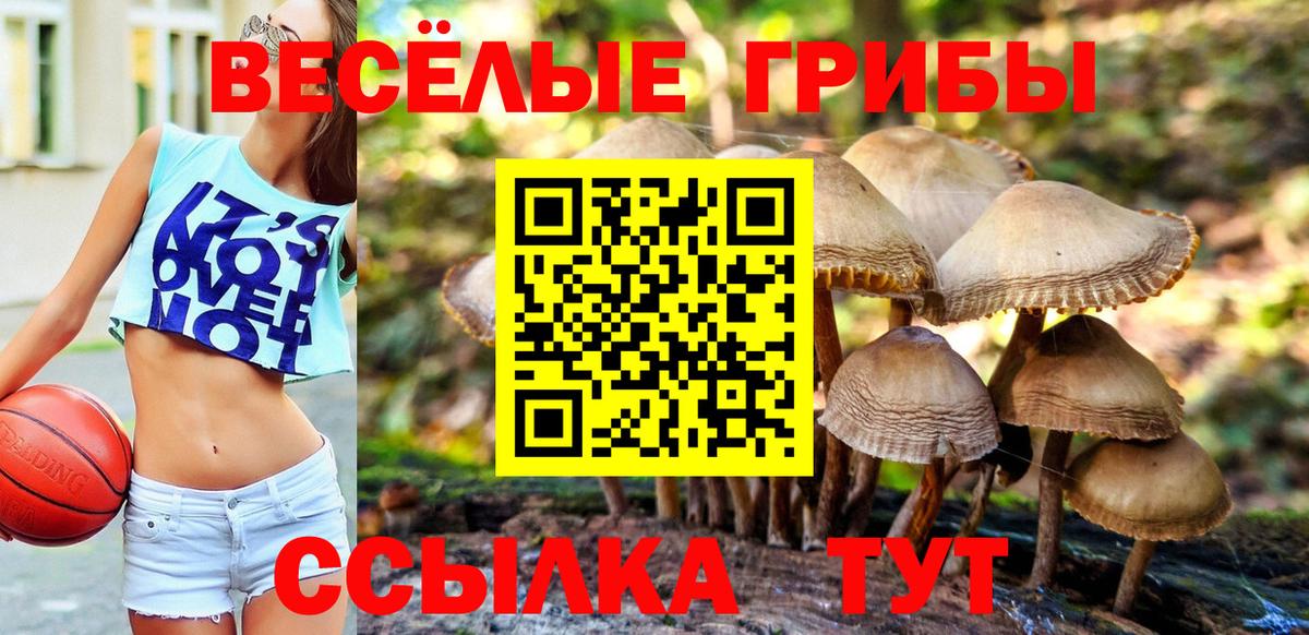 Краснотурьинск  Псилоцибиновые грибы прущие грибы  Псилоцибиновые грибы Psilocybe  Вход с VPN 